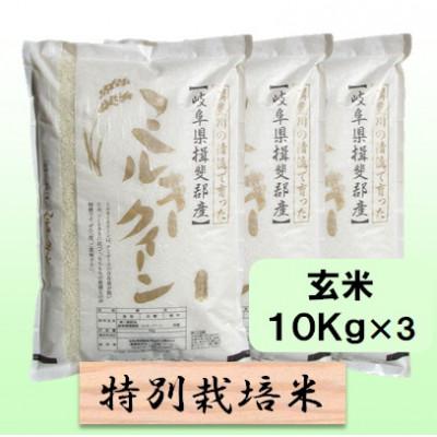 ふるさと納税 池田町 【令和7年産】特別栽培米 30kg【玄米】(ミルキークイーン)