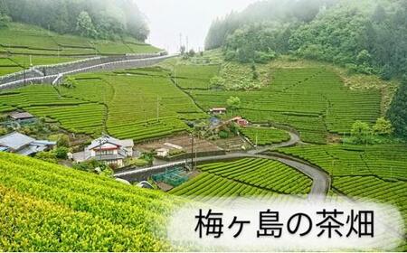 【静岡市内でも産地によって味が違う！】静岡市産煎茶3地区「新間・梅ヶ島・和田島」飲み比べセット