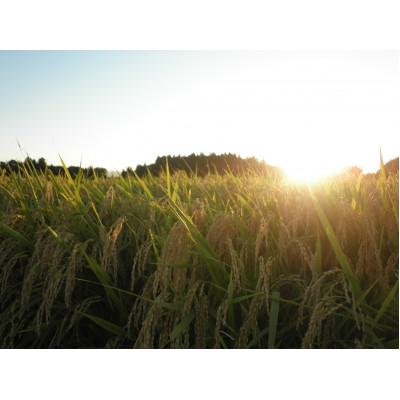 ふるさと納税 花巻市 【令和6年産米】花巻市産　一等級　ひとめぼれ(玄米)30kg |  | 02