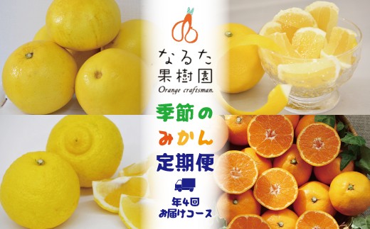 【定期便4回】なるた果樹園 みかん ぽんかん 土佐文旦 温州みかん 小夏 ぶんたん 文旦 果物 フルーツ 4回 季節 高知 宿毛 ジャム マーマレード