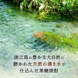 【毎月定期便】奄美黒糖焼酎 島のナポレオン 900ml 紙パック 12本セット全12回【4074147】