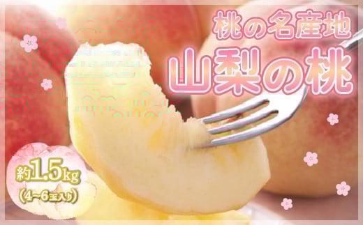 【2026年発送★先行予約】ももの名産地 山梨の桃 約1.5kg（4～6玉入り） 109-008-26y