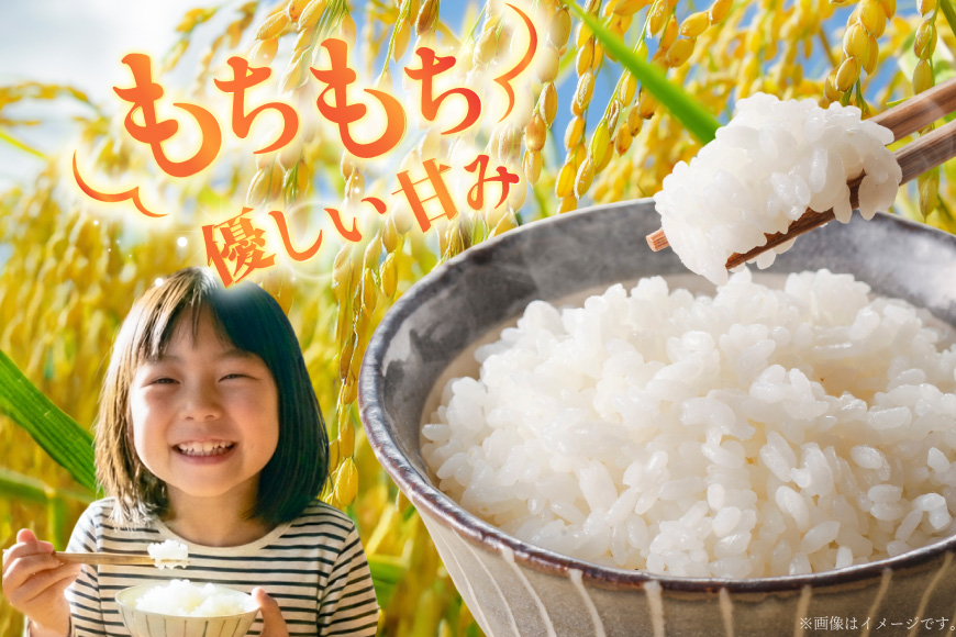 米 優秀金賞 ゆめぴりか 5kg 3回 定期便 総計15kg [笹田ファーム 北海道 剣淵町 14656373] 米 お米 精米 白米 ご飯 ごはん