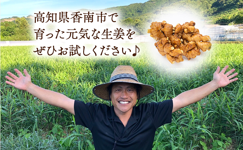 香南市産 別役の生姜 2kg - しょうが ショウガ ジンジャー 薬味 調味料 国産 株式会社べっちゃく 高知県 香南市 bc-0014