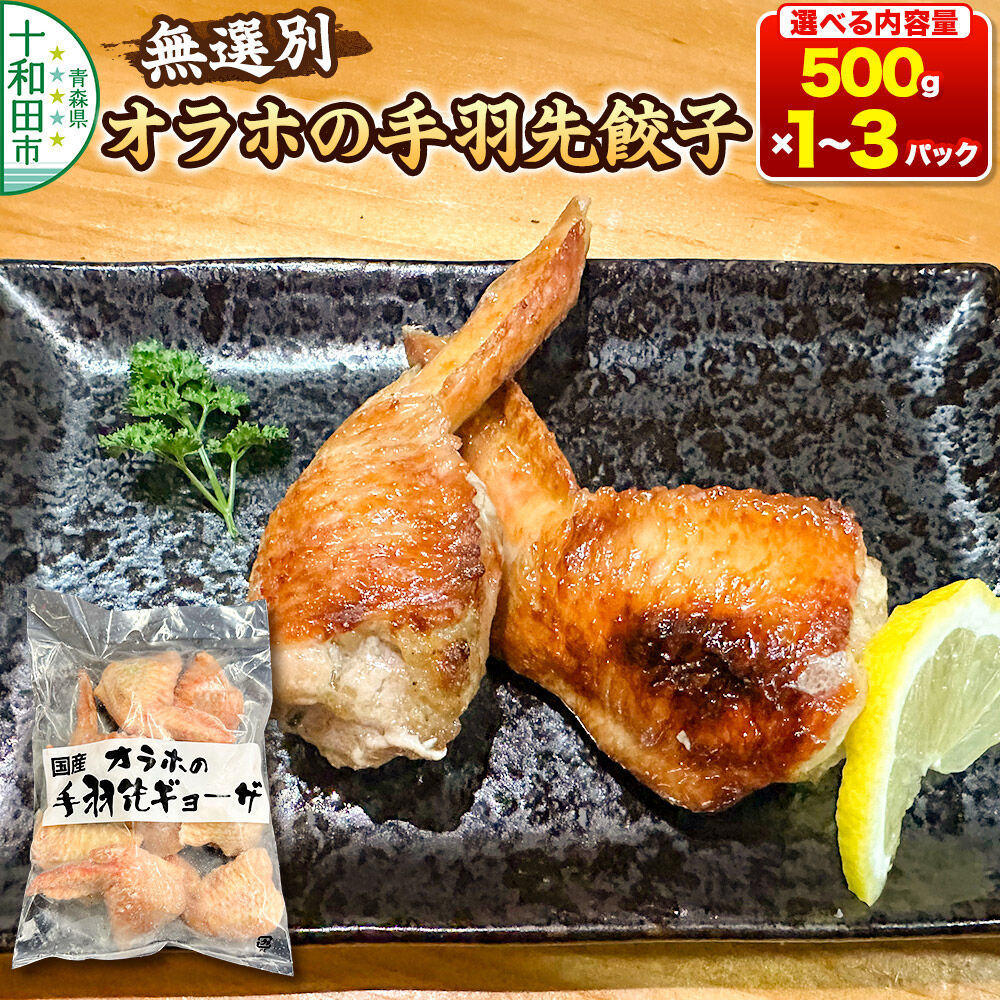 【ふるさと納税】オラホの手羽先餃子 無選別【選べる内容量：500g×1パック／500g×3パック】 [手羽先餃子 骨なし ジューシー 冷凍 お取り寄せ おつまみ おかず 焼く 揚げる 鍋 BBQ]