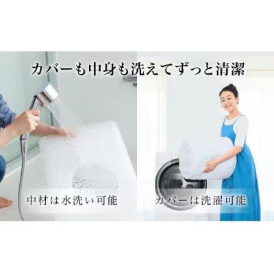 ふるさと納税 幸田町 【3営業日以内に発送】エアウィーヴ ピロー　ソフト |  | 01