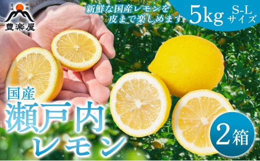 【先行受付】【防腐剤・ワックス不使用で安心】真穴産地直送のレモン　5kg×2箱(S~Lサイズ)【H98-10】【1711283】 YWTBU010