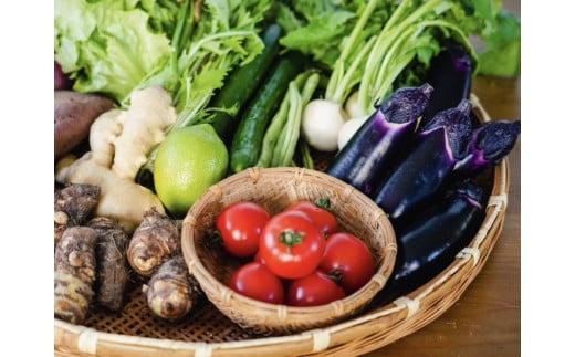 【ふるさと納税】 安心で美味しい 季節 お野菜6回 定期便コース 定期便 6回 6か月 半年 野菜 詰め合わせ セット 毎月 6-8品 旬の野菜 やさい ベジタブル キット 季節野菜 国産 人気 半年間 季節 旬 新鮮 定番 やさい 高知県 安田町 MR-04