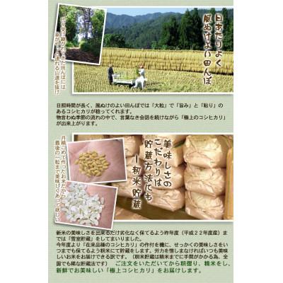ふるさと納税 十日町市 魚沼産コシヒカリ非BL米 精米 計5kg |  | 02