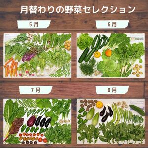 ＜12ヵ月定期便＞旬の野菜詰め合わせ 7～8種 | 野菜セット 詰め合わせ 定期便