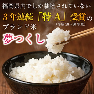 福岡県産 夢つくし 10kg 配送日時指定不可 30営業日以内に発送 [a0820] 酒見食品工業株式会社 【返礼品】添田町 ふるさと納税