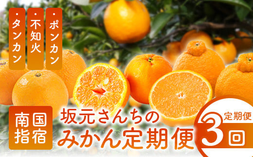 【全３回定期便】坂元さんちのみかん定期便(坂元果樹園/Z-059) みかん ミカン ポンカン タンカン 定期便 フルーツ 果物 新鮮 鹿児島 みかん しらぬい 柑橘 フルーツ 冬の旬 指宿