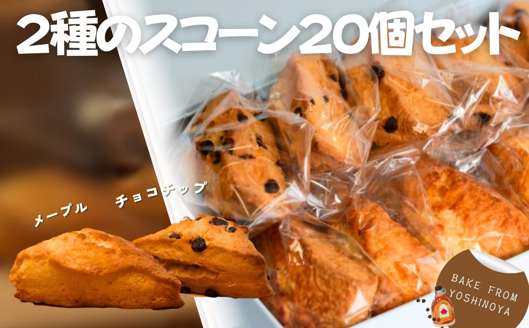
            2種のスコーン（チョコチップ・メープル）　20個セット
          