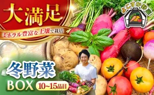 すずなり採れたて野菜BOX（10～15品目）冬（12月～2月）野菜セット 詰め合わせ 季節野菜 やさい 産地直送 旬 新鮮 横須賀【鈴也ファーム】 [AKCE002]