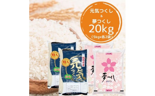 【令和7年産】福岡県産米食べ比べ＜白米＞セット「夢つくし」と「元気つくし」2種類 計20kg入り