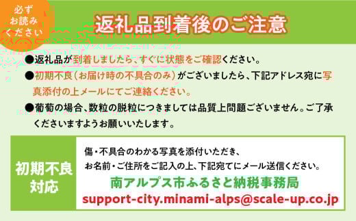 ＜2026年発送先行予約＞★TBSテレビ系列「ひるおび」で取り上げられました！★シャインマスカット 2房 約1kg (1房あたり約450g〜550g×2房） ALPAA055| 山梨 山梨県 ぶどう 