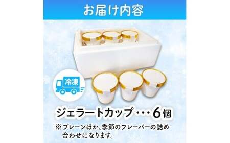 ジェラート 【自家牧場ジャージー牛乳使用】Demのジェラートカップ6個セット 
