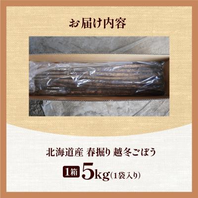 ふるさと納税 清水町 先行受付!2026年4月頃〜発送開始!北海道十勝清水町産 越冬ごぼう! 5kg |  | 03