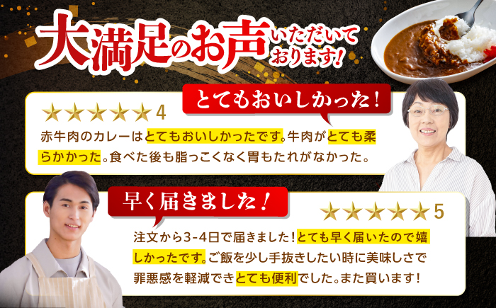 【12回定期便】高知土佐あかうしビーフカレー 10食セット/ レトルト カレー あか牛 土佐あかうし 牛肉 牛カレー 保存食 常備 人気 おすすめ 高知市 【株式会社 四国健商】 [ATAF139]