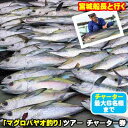 【ふるさと納税】宮城船長と行く【マグロ釣りパヤオツアー】チャーター券（大人6名迄）