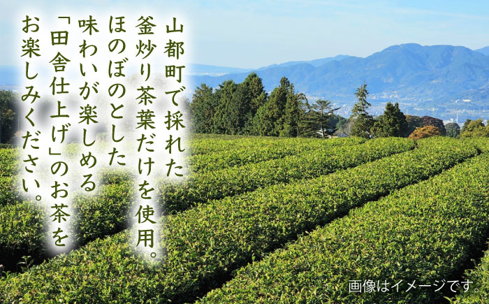 【全12回定期便】矢部茶 釜炒り茶 500ml×48本（24本入り 2ケース） お茶 ペットボトル 通潤橋【上益城農業協同組合 Aコープ矢部】[YAM021] 205000 205,000 20500