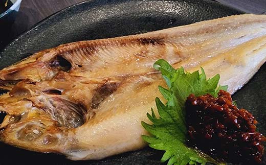 バーベキューセット ジンギスカン ラムジンギスカン 豚ジンギスカン ショッパーズ菱光 菱光 焼き肉 焼肉 焼肉 BBQ _F4F-8271