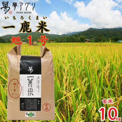 ふるさと納税 山鹿市 一鹿米 旭一号 栽培期間中肥料農薬不使用 米 玄米 10kg【株式会社夢アグリ】《山鹿市》