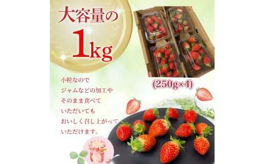 （大粒）農林水産大臣賞受賞農園からお届けする　訳アリ　かおり野　1kg（250ｇ×4Ｐ）/いちご　ISH-01