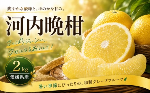 【選ぶならこれ】 和製グレープフルーツ 【河内晩柑】 2kg 愛媛県産 【2027年4月上旬頃から順次発送】 | みかん ミカン mikan 蜜柑 訳ありフルーツ 柑橘 果物 おすすめ お勧め お取り寄せ ギフト 愛媛県 松山市