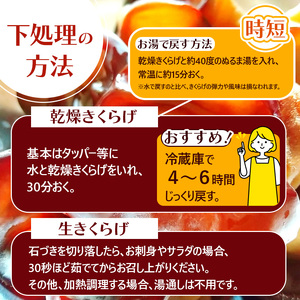 【定期9回】乾燥きくらげ 8g×5P ともちゃん農園|定期便 乾燥きくらげ きくらげ 贈答用 乾燥 きくらげ 食物繊維 鉄分 カルシウム ビタミンD カリウム アミノ酸  高血圧予防 ふるさと 納税 