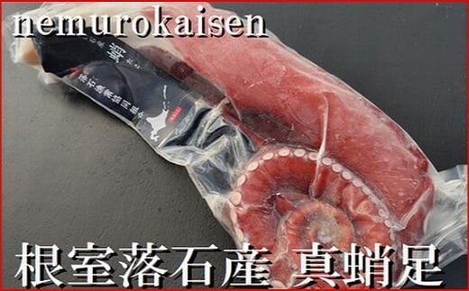 A-57059 【北海道根室産】刺身用真だこ足800g～1.2kg前後×1本