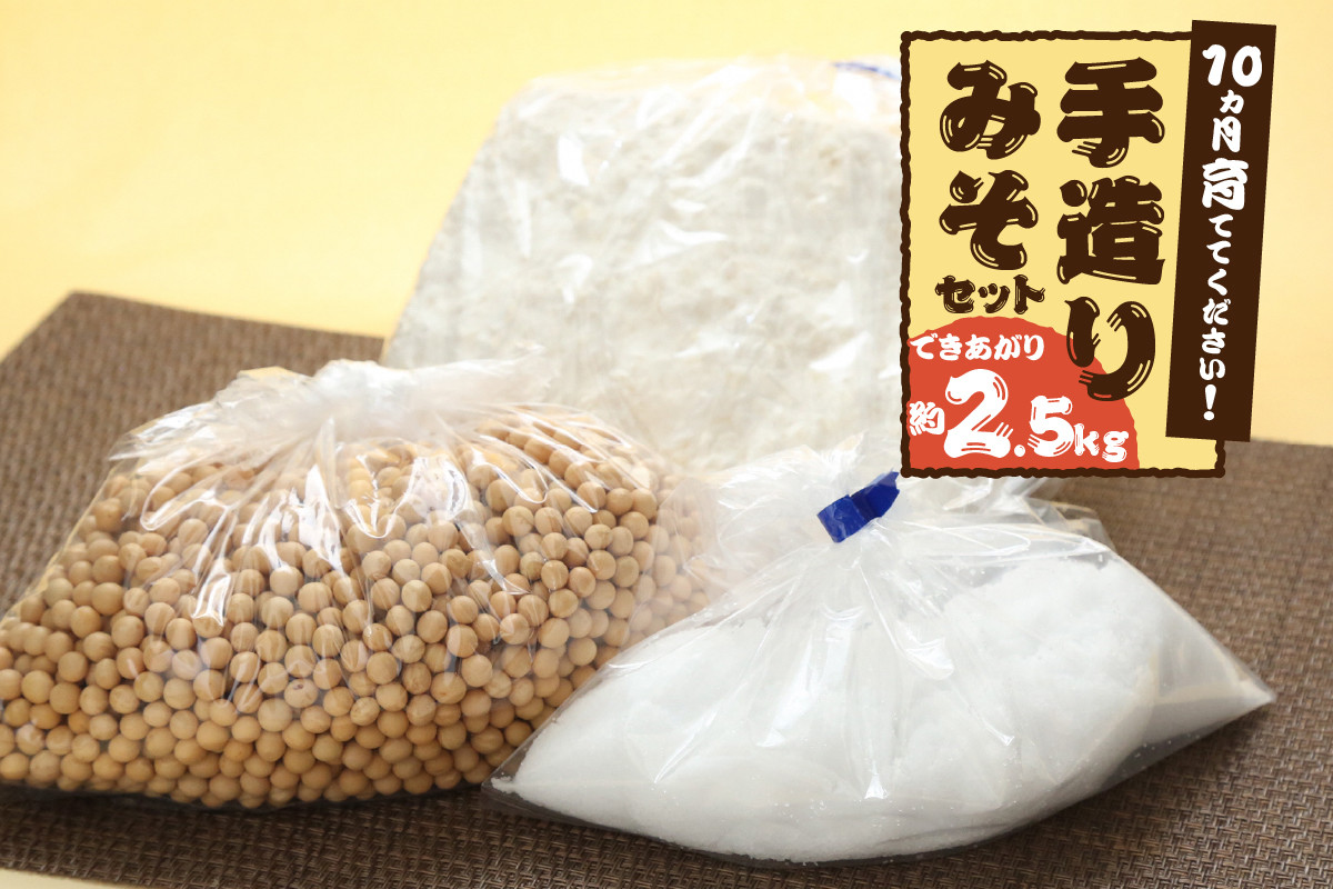 
            10ヵ月育ててください！ 手造りみそセット（出来あがり約2.5kg） 天然熟成 味噌 自分みそ 10ヶ月 手作り スローフード 天然醸造 [AD002]
          