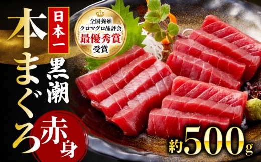 本マグロ 赤身 約500g (高知道水)