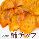 【ふるさと納税】 JAにじ 柿チップ100g×5袋・1kg 2024年11月中旬から順次発送 ドライフルーツ