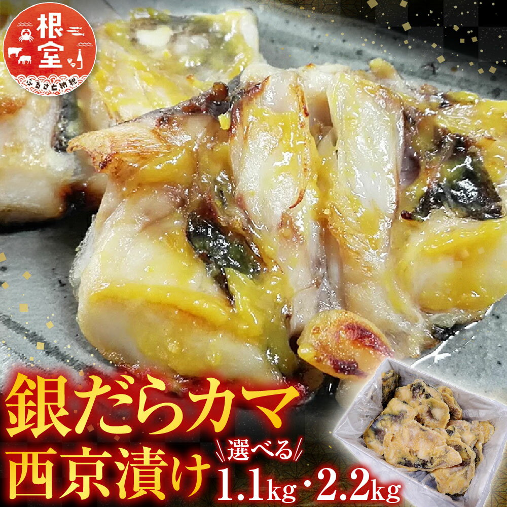 【ふるさと納税】 銀だらカマ西京漬け 選べる 1.1kg 2.2kg たら タラ 鱈 ぎんだら 銀ダラ ギンダラ 銀鱈 魚 さかな サカナ お取り寄せ グルメ 海鮮 かま 西京漬 西京焼き 北海道 根室市 ふるさと納税