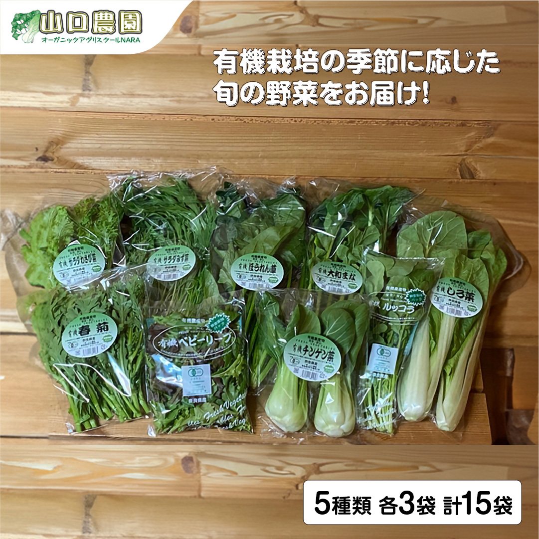 （チルド）山口農園　有機野菜　おまかせセット ／山口農園 有機野菜 伝統野菜 オーガニック ベジタリアン 無農薬 野菜セット 送料無料 無農薬 農家直送 ふるさと納税 詰め合わせ 奈良県 宇陀市 ふるさと納税 野菜 無農薬 