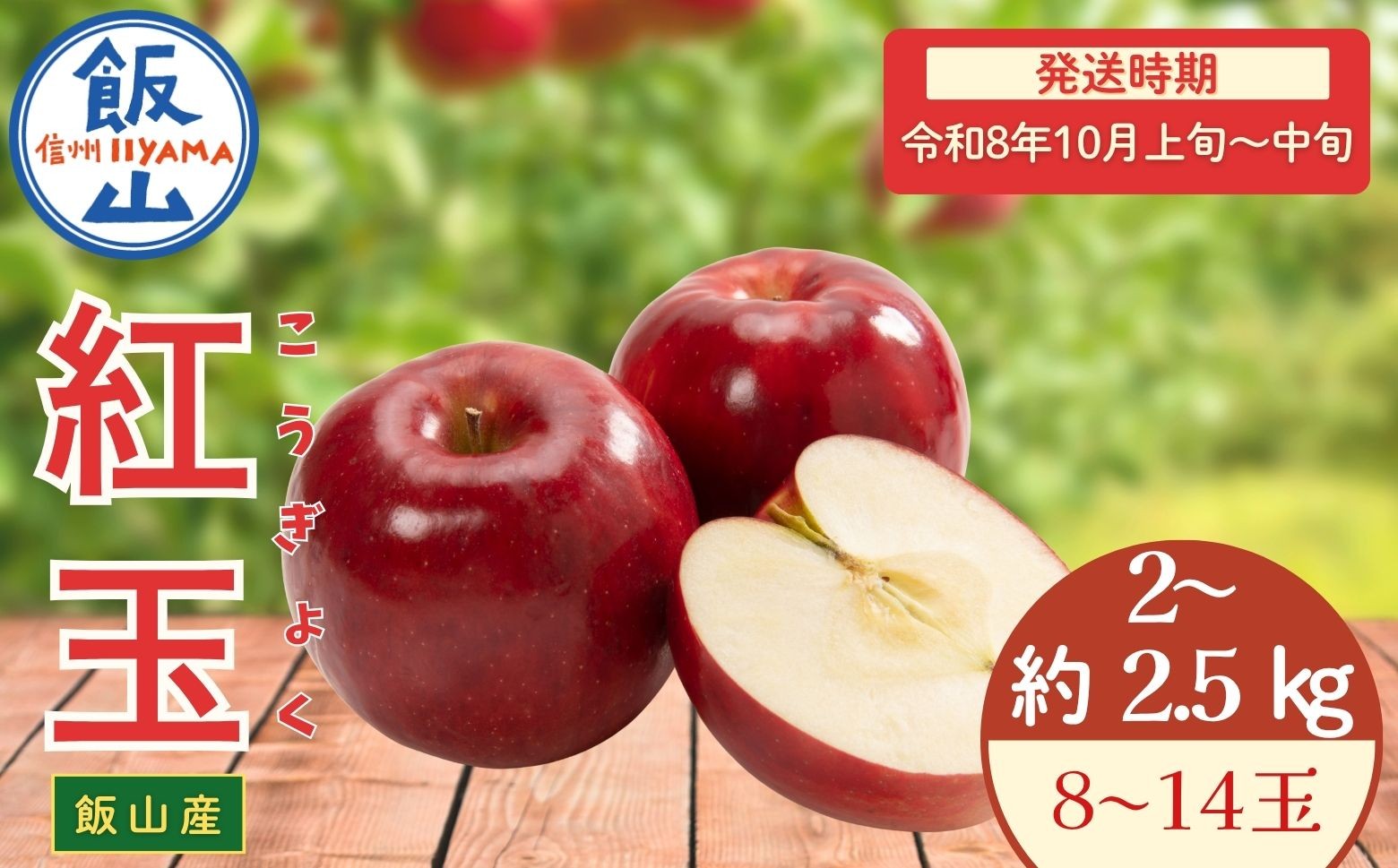 
            【先行予約丨2026年10月上旬より順次発送】紅玉【約2〜2.5kg(8〜14玉)】(At-007)丨長野県 飯山市 おすすめ ランキング おいしい 高評価 大人気 先取り 産地直送 りんご こうぎょく
          