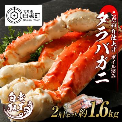 ふるさと納税 白老町 タラバ 脚 ボイル済み 冷凍 シュリンク済み 2肩セット 約1.6kg BM007