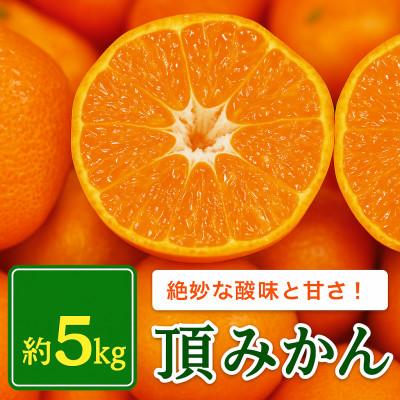 ふるさと納税 八幡浜市 【発送月固定定期便】美味しいみかん柑橘のある暮らし【みかん・まどんな・せとか】【G31-43】全3回 |  | 02