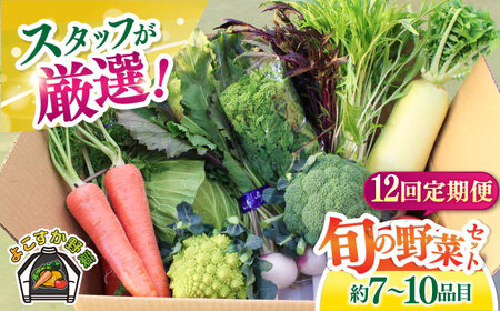 【全12回定期便】よこすか野菜セット  [AKFO009]野菜セット