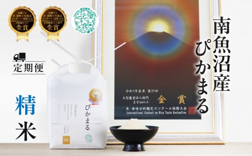 
                  定期便【令和8年産新米予約】精米5kg×3回 南魚沼産ぴかまる 金賞受賞（米・食味分析鑑定コンクール）＜3ヶ月定期便＞農家直送_AG【定期便 銘柄米 ブランド米 精米 魚沼産】【令和8年11月上旬から1ヶ月以内に順次発送予定】
                