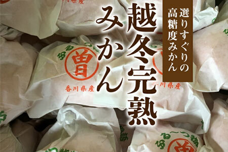 ふるーつ物語 越冬完熟 「袋掛けみかん」 約7kg(70個 ～ 120個)