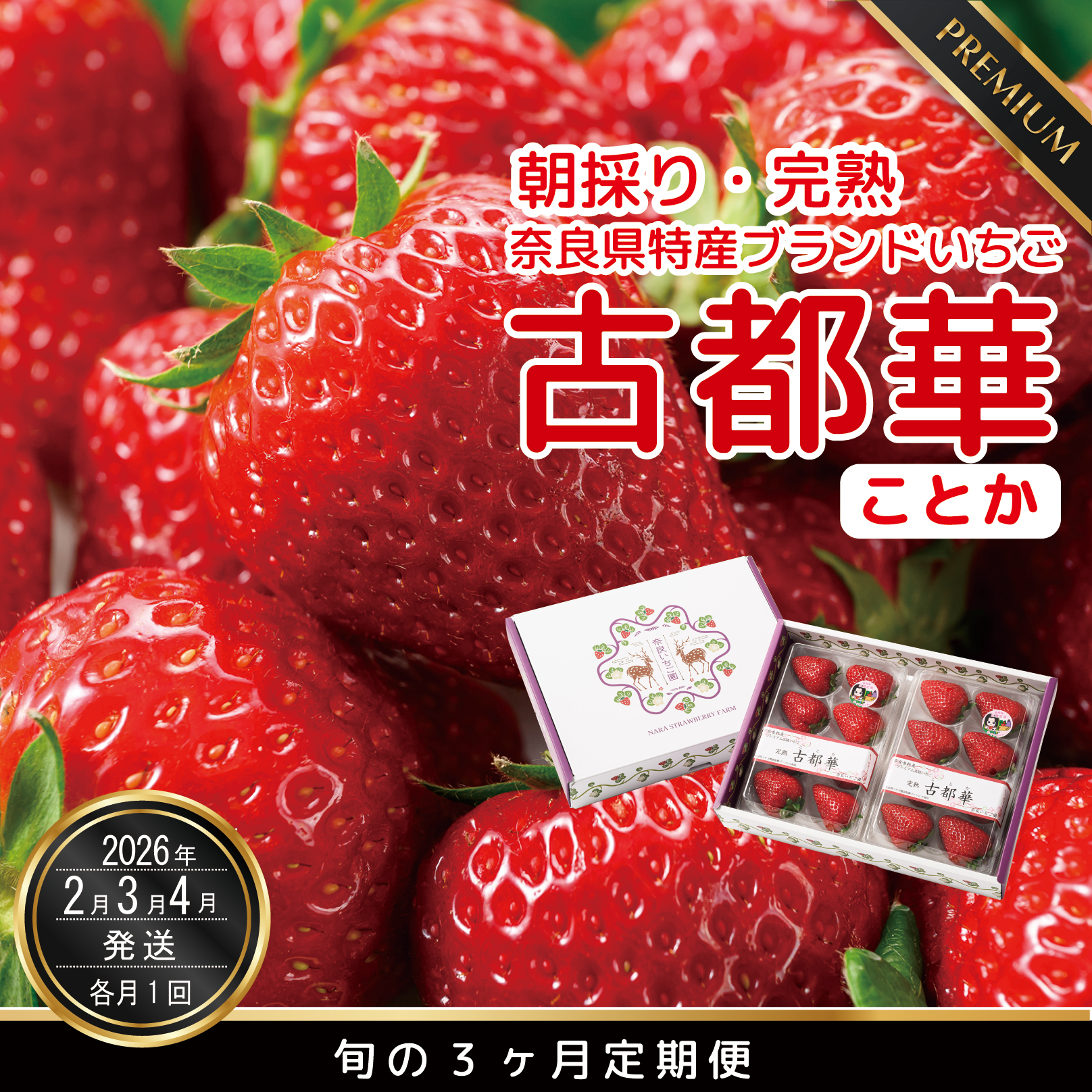 【2・3・4月発送】奈良県特産 高級ブランドいちご「古都華」旬の３ヶ月定期便// いちご イチゴ 古都華 フルーツ 果物 旬 限定 ブランド // いちご イチゴ 古都華 フルーツ 果物 旬 限定 ブランド 朝採り 完熟 いちご ことか イチゴ 先行予約 古都華 数量限定 古都華 甘い 先行受付 予約 贈答用 ギフト 化粧箱