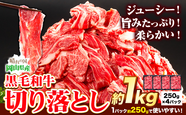 牛肉 黒毛和牛 切り落とし 1kg 《30日以内に出荷予定(土日祝除く)》 岡山県 矢掛町 牛 牛肉 和牛 牛肉 岡山県牛肉 小分け 小分けパック 250g ---ofn_fokw_30d_24_13000_10---