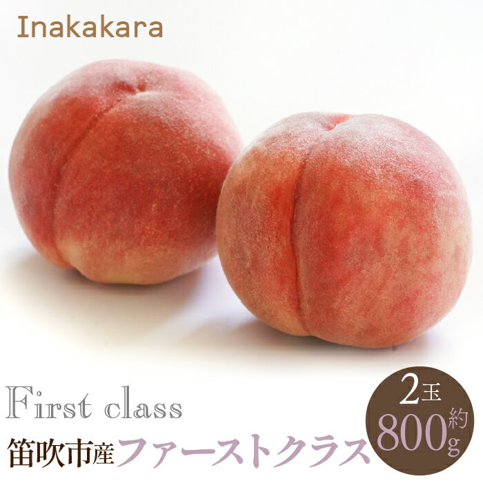 【ふるさと納税】【2026年発送★先行予約】笛吹市産 Inakakara 一宮町の桃 ファーストクラス 2玉(約800g) ふるさと納税 おすすめ ランキング もも 桃 笛吹市 国産 人気 期間限定 果物 フルーツ 旬 山梨県 送料無料 192-008