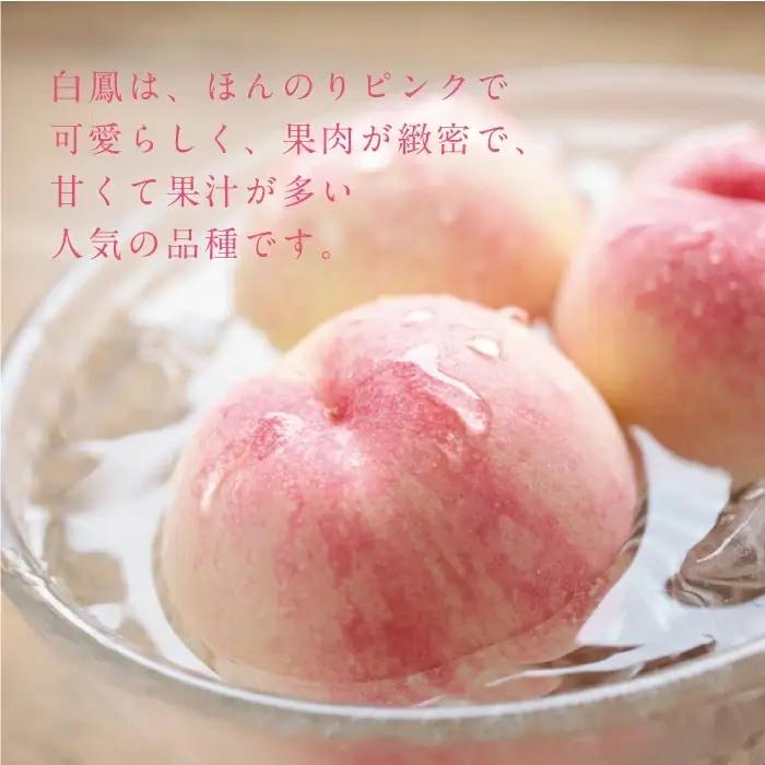 岡山白桃 白鳳 秀品 大玉3玉 momo30 【配送不可地域：北海道／沖縄県／離島】 【jujy081-01】