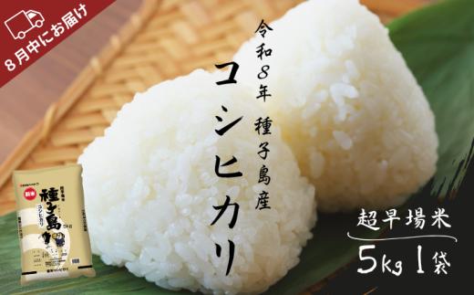 種子島 産 コシヒカリ 超 早場 米 5kg　NFN627【350pt】 // 新米 米 コシヒカリ こしひかり 早場米 超早場米 令和8年産