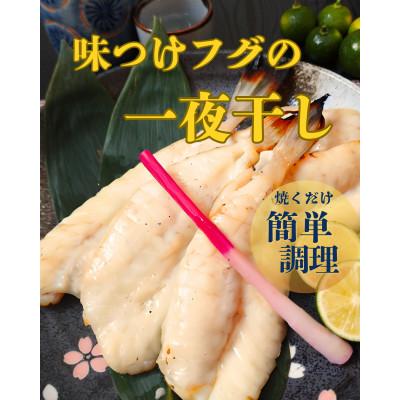 ふるさと納税 八幡浜市 味付けフグの一夜干し【C77-1】