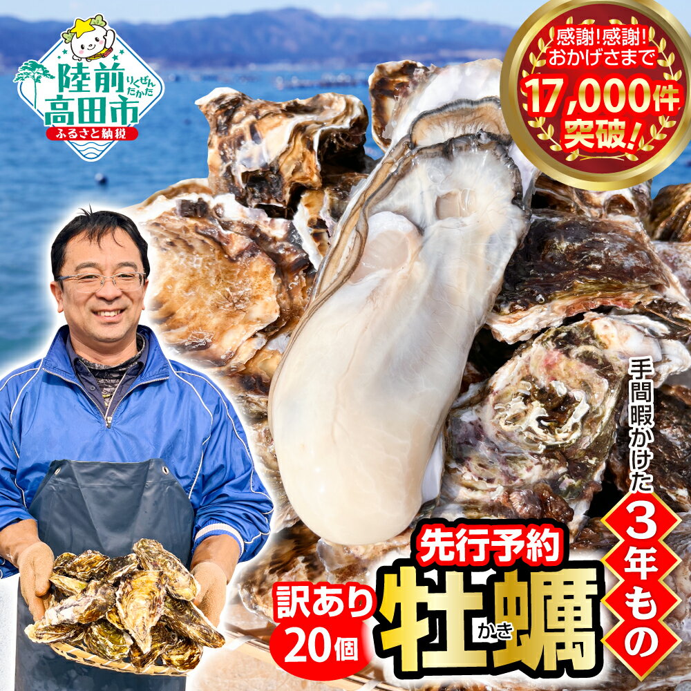 【ふるさと納税】訳あり 牡蠣 20個 殻付き 生食 (ナイフ・軍手・剥き方説明書付き)[ ワケあり 規格外 不揃い かき カキ 生牡蠣 真牡蠣 新鮮 海鮮 鍋 牡蠣鍋 カキフライ バーベキュー BBQ 人気 三陸 産地直送 岩手 陸前高田 マルテン水産 ]