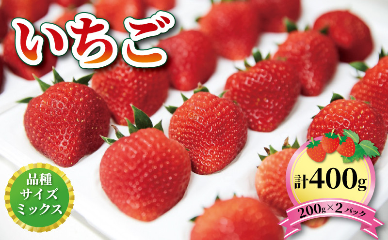 
            いちご 2種 400g (200g×2) 【1〜5月お届け】 品種・サイズおまかせ 苺 果物 くだもの フルーツ おやつ ストロベリー strawberry 岩手県 大船渡市
          